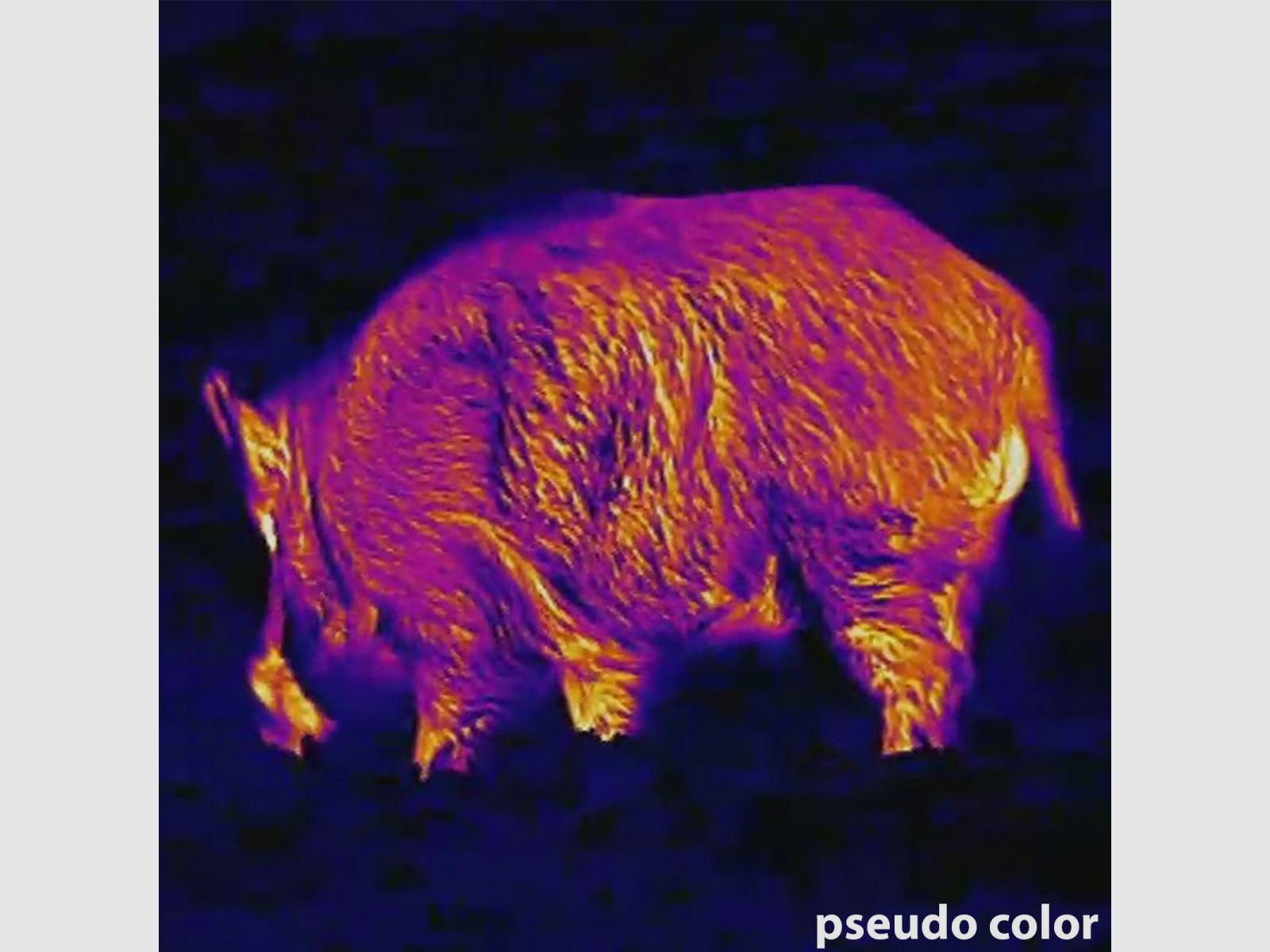 Lahoux Clip Elite 50 thermal imaging device