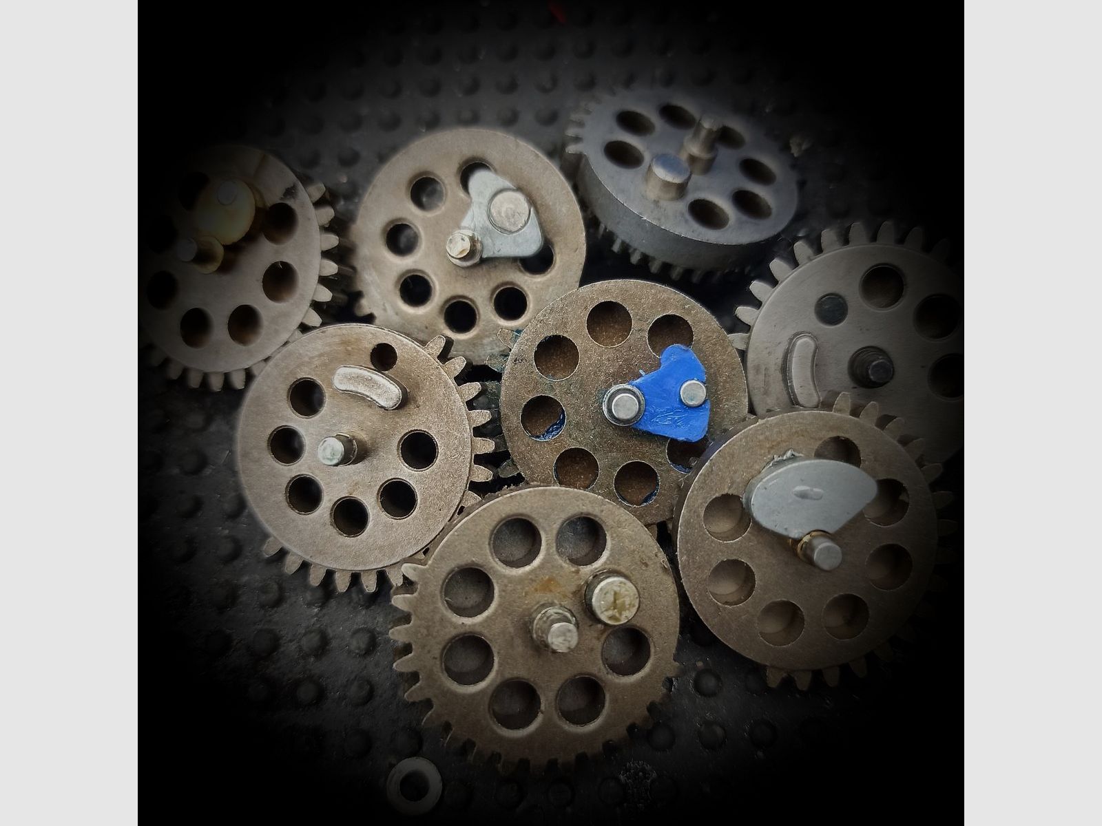 Sectorgear mit Clip/Delayer (A.N.-Limited)