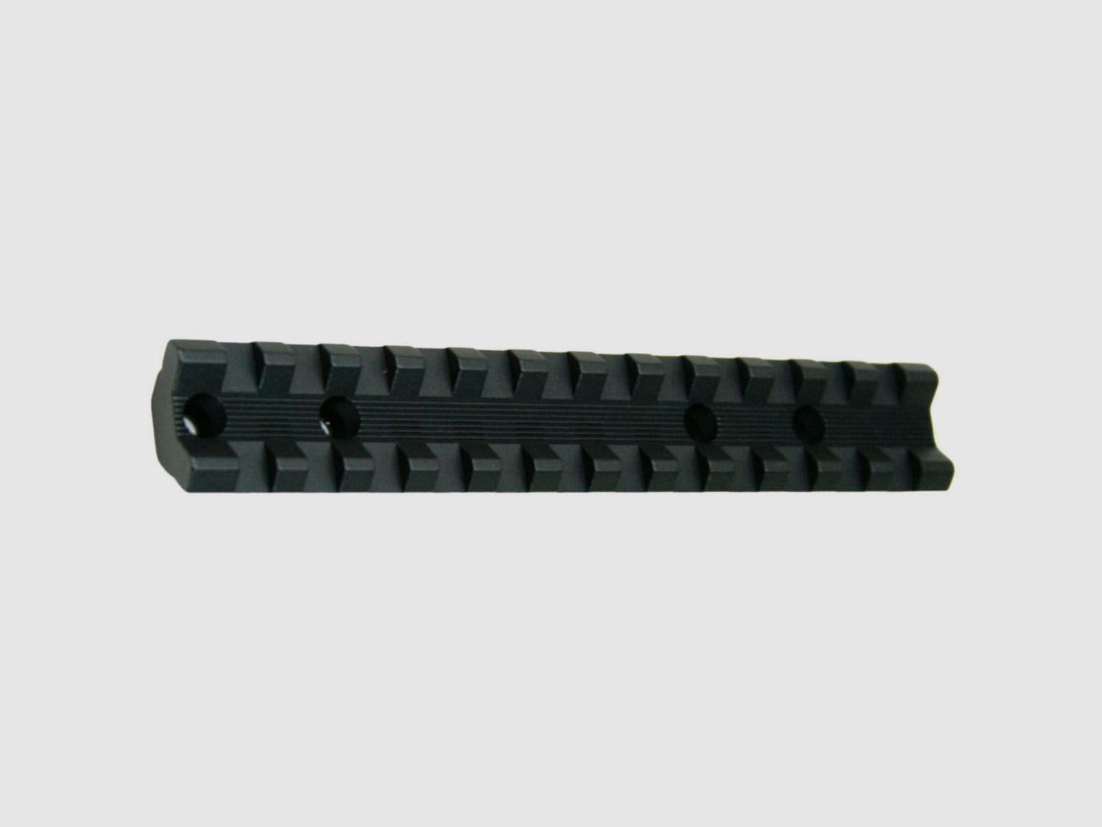 SAVAGE RAIL DE MONTAJE