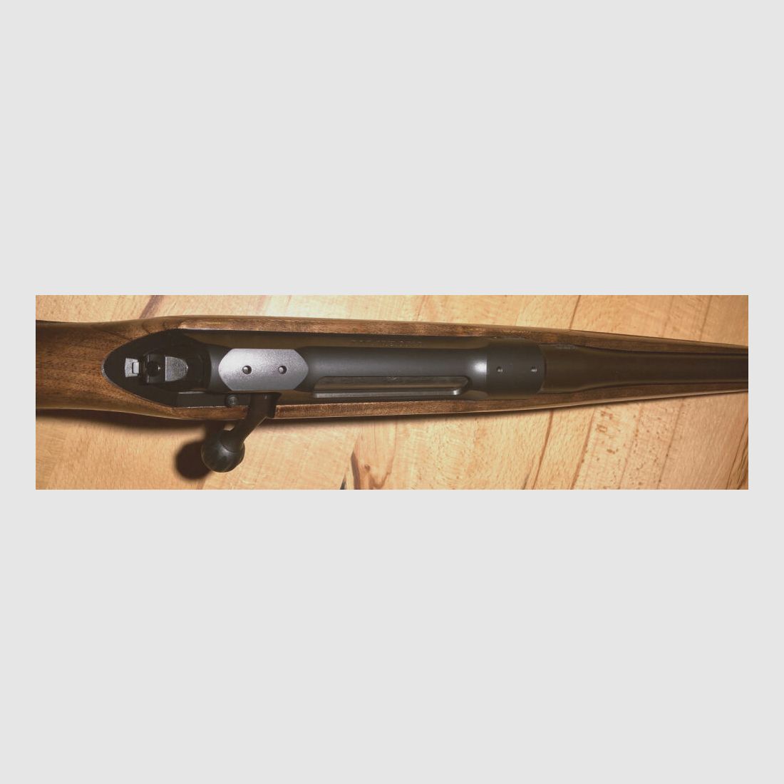 Sauer 101 Classic