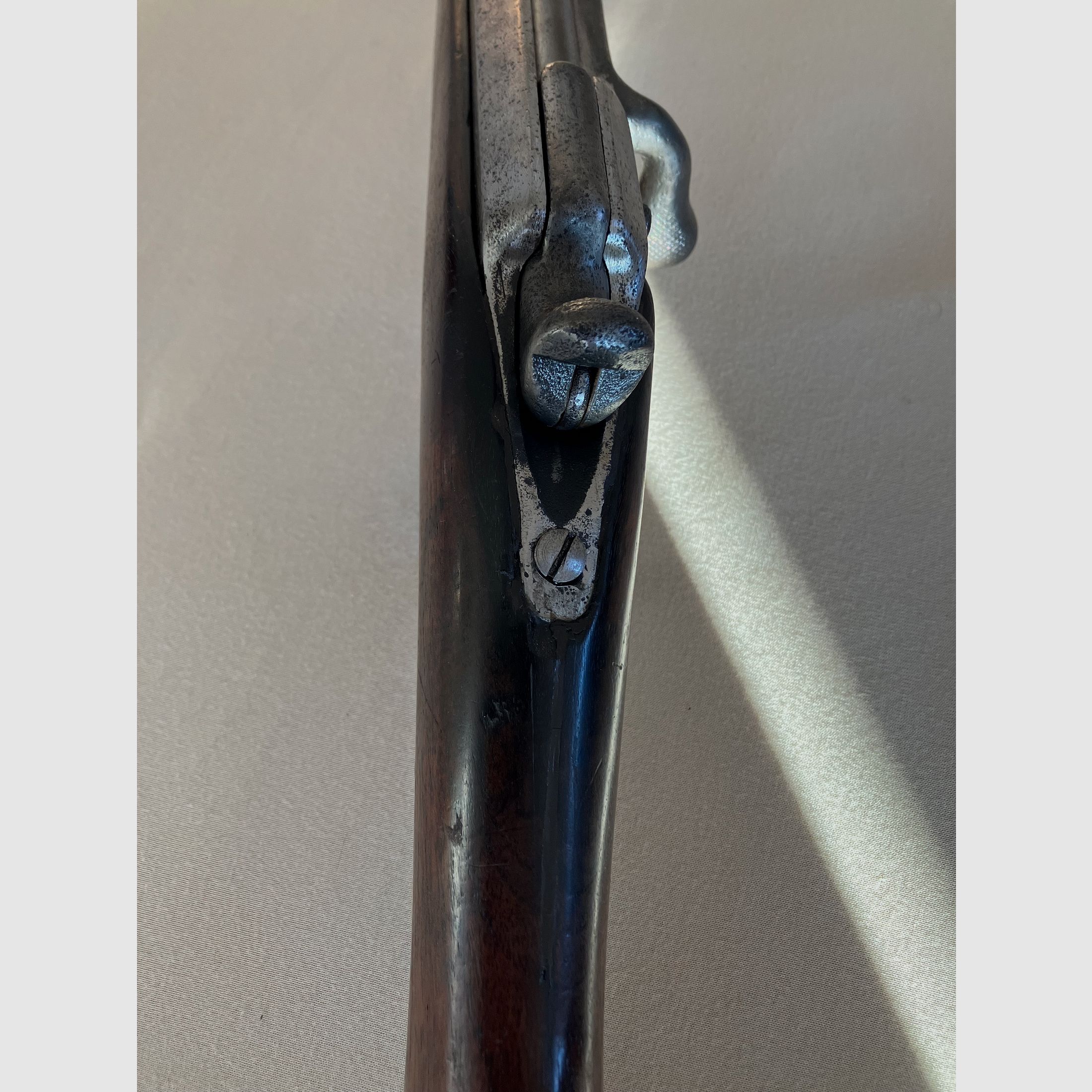 Karabin Chassepot Zündnadelgewehr, krótki