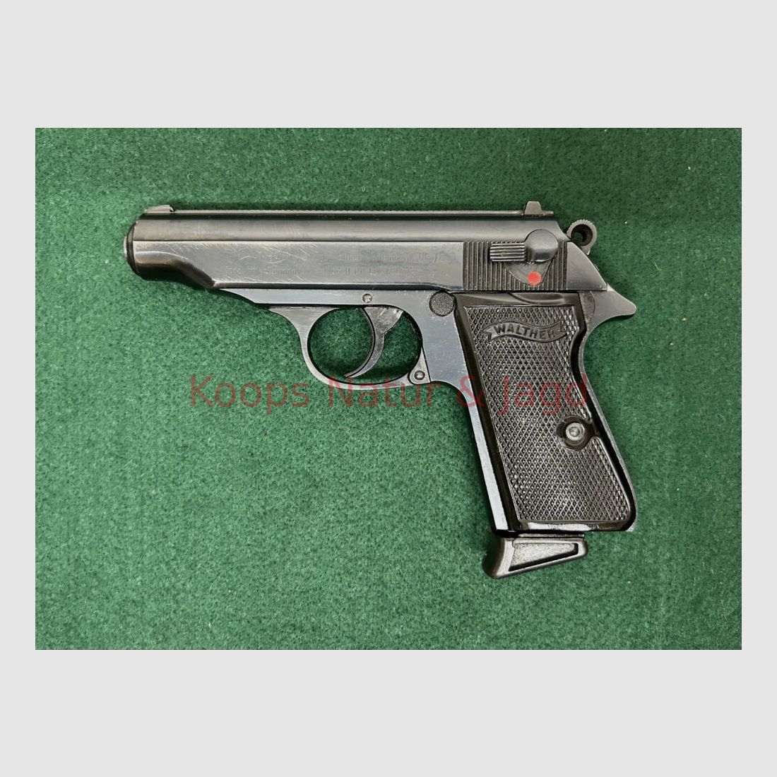 Walther PP