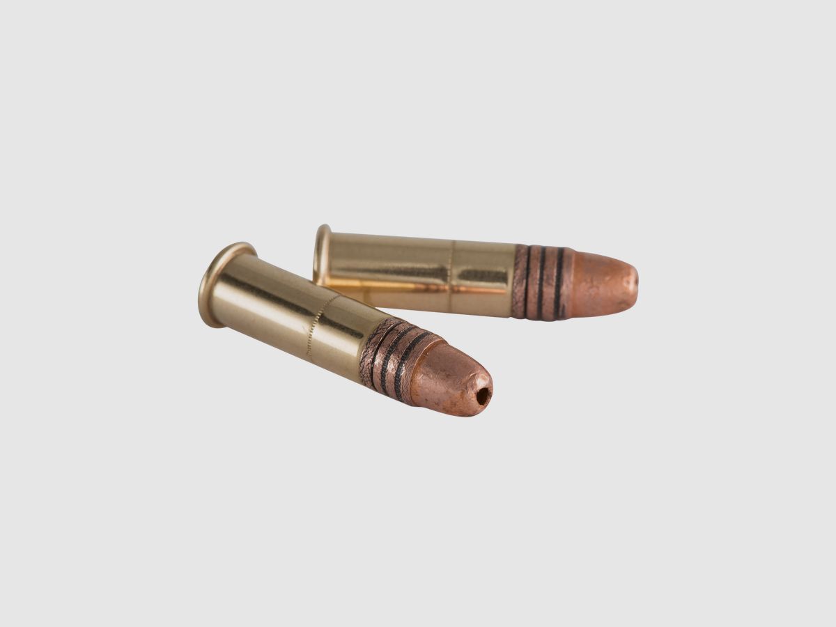 Patronen 22LR EXPERT CP 42GR X100, Bild 2 von 2