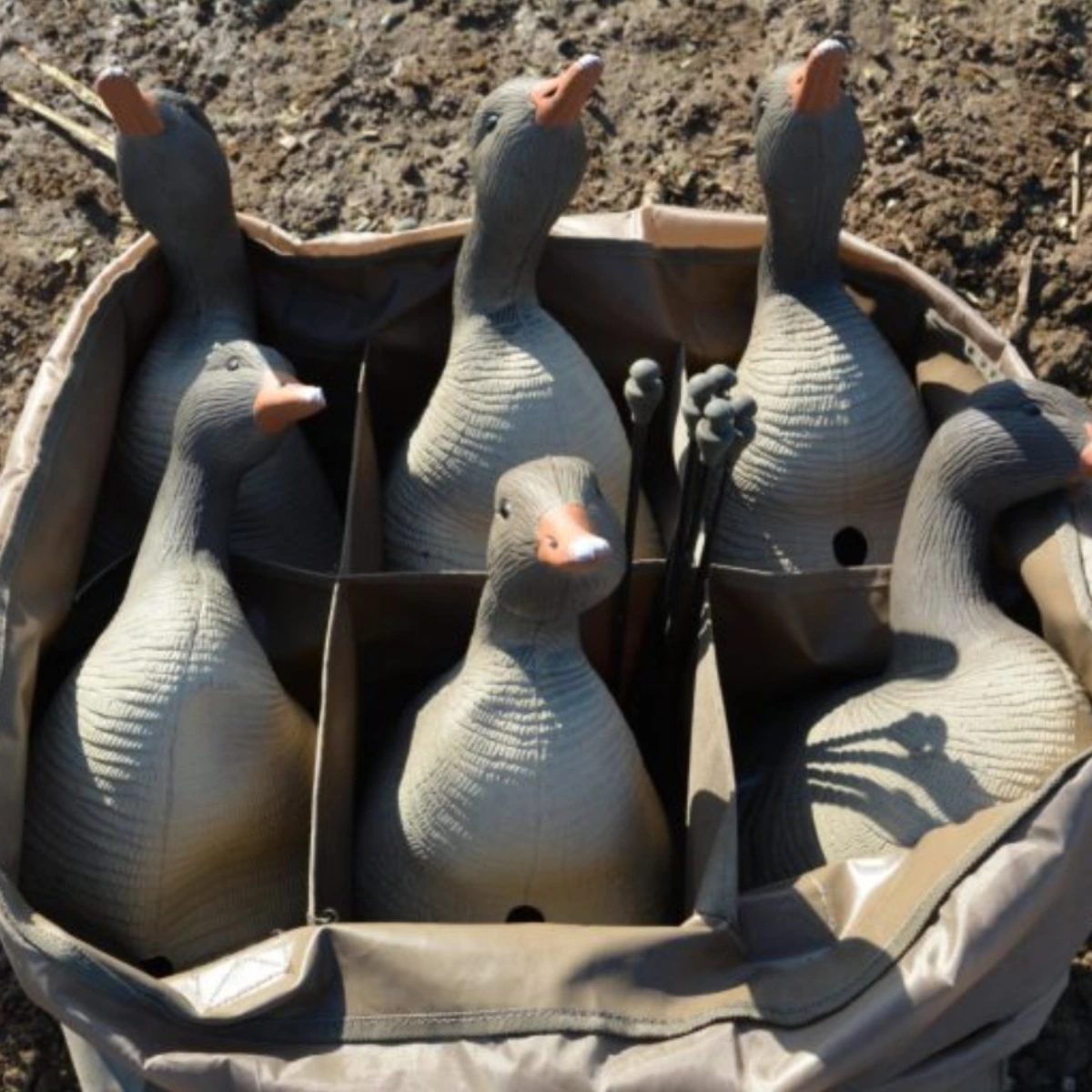Borsa Prodecoys a 6 scomparti, immagine 2 di 2