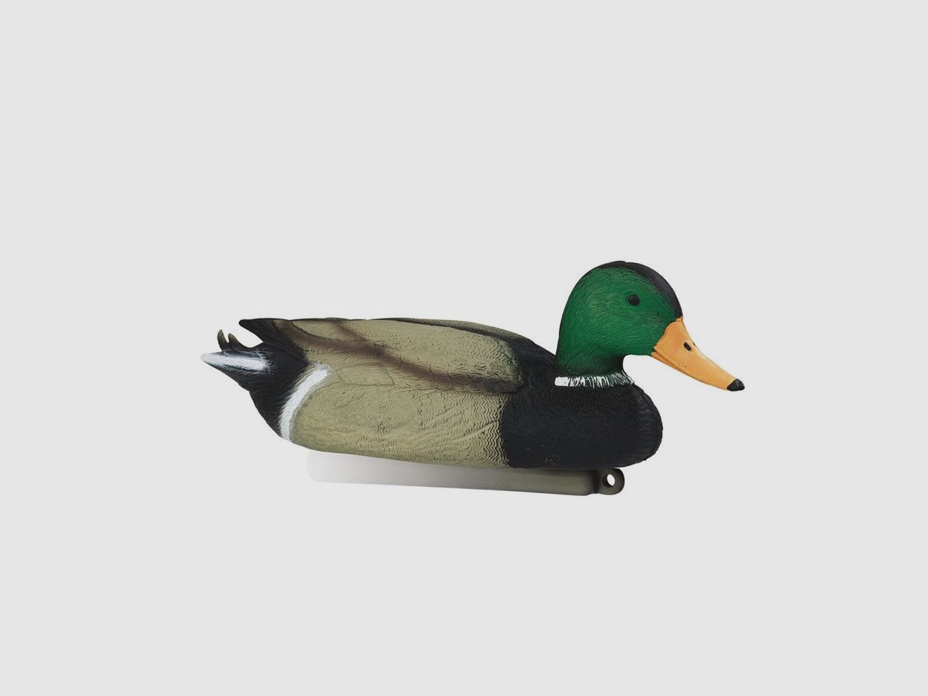 Forme de canard colvert male Stepland
