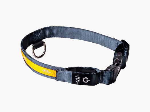 Collar LED para Perro Blaser XL