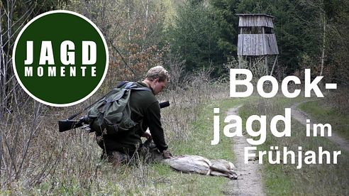 JagdMomente | Folge 8 | Bockjagd im Frühjahr