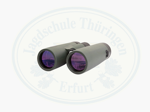 Professor Optiken Fichtelberg - 10x42 | grün oder braun