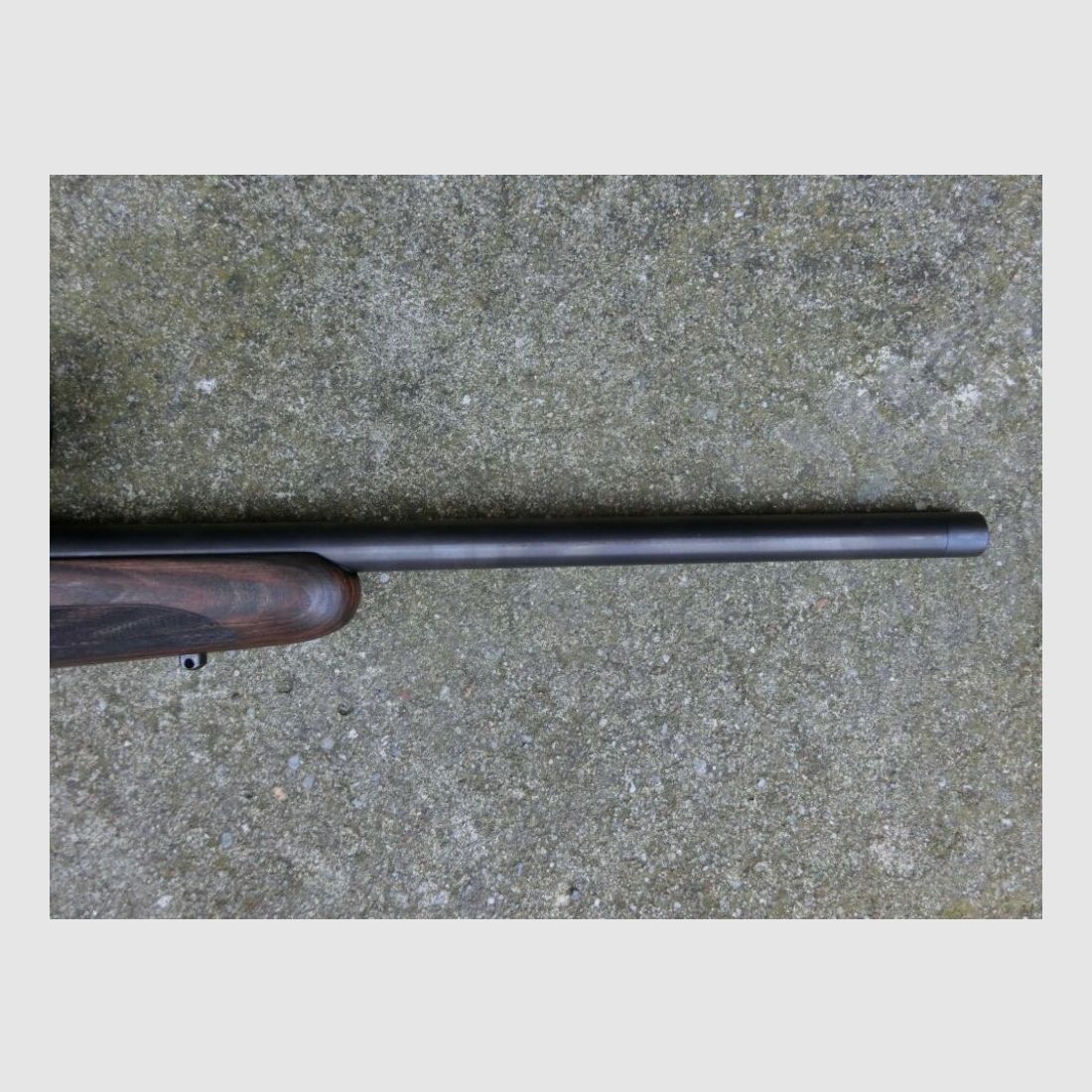 Mauser M25 Pure