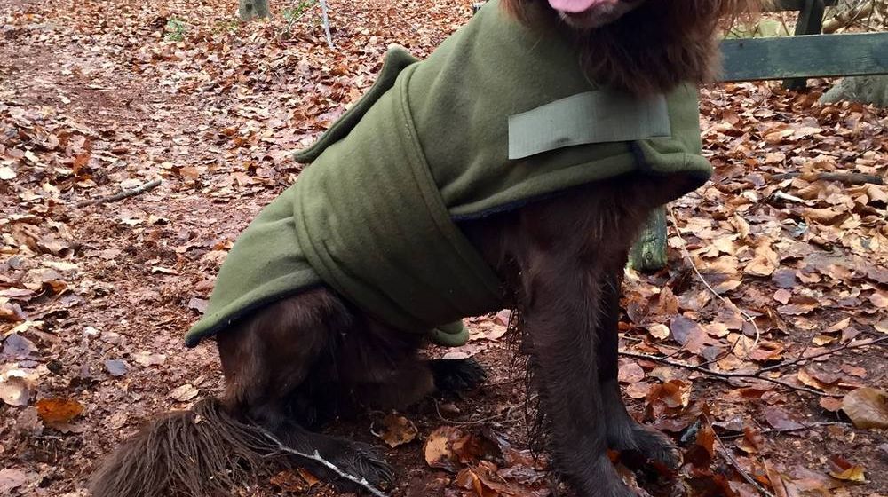 Hundemantel "KLASSISCH" von Grimm-Waldhunde.de