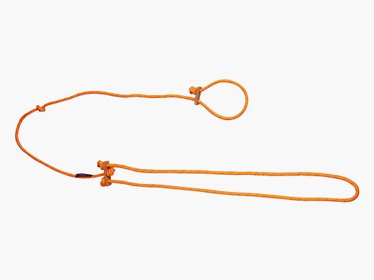 Farmland Hundeleine / Lautlos / Farbe: orange