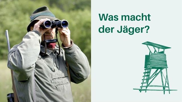 Was macht der Jäger? Arbeitsplatz Wald 🌳🌲 I Berufe in Wald & Forstwirtschaft