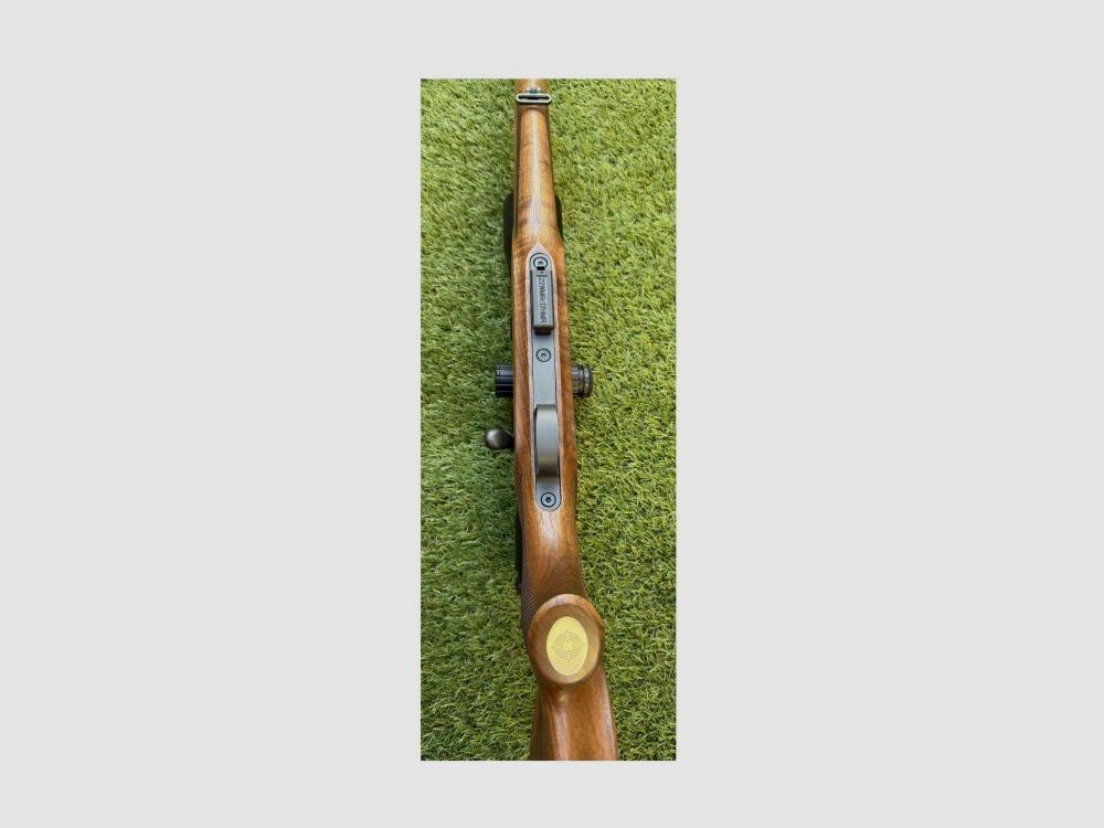 Steyr Mannlicher Zephyr II avec lunette Bushnell .17HMR