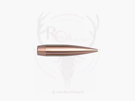 500 ogives Cal.6mm D.243 105Grs HHB HORNADY