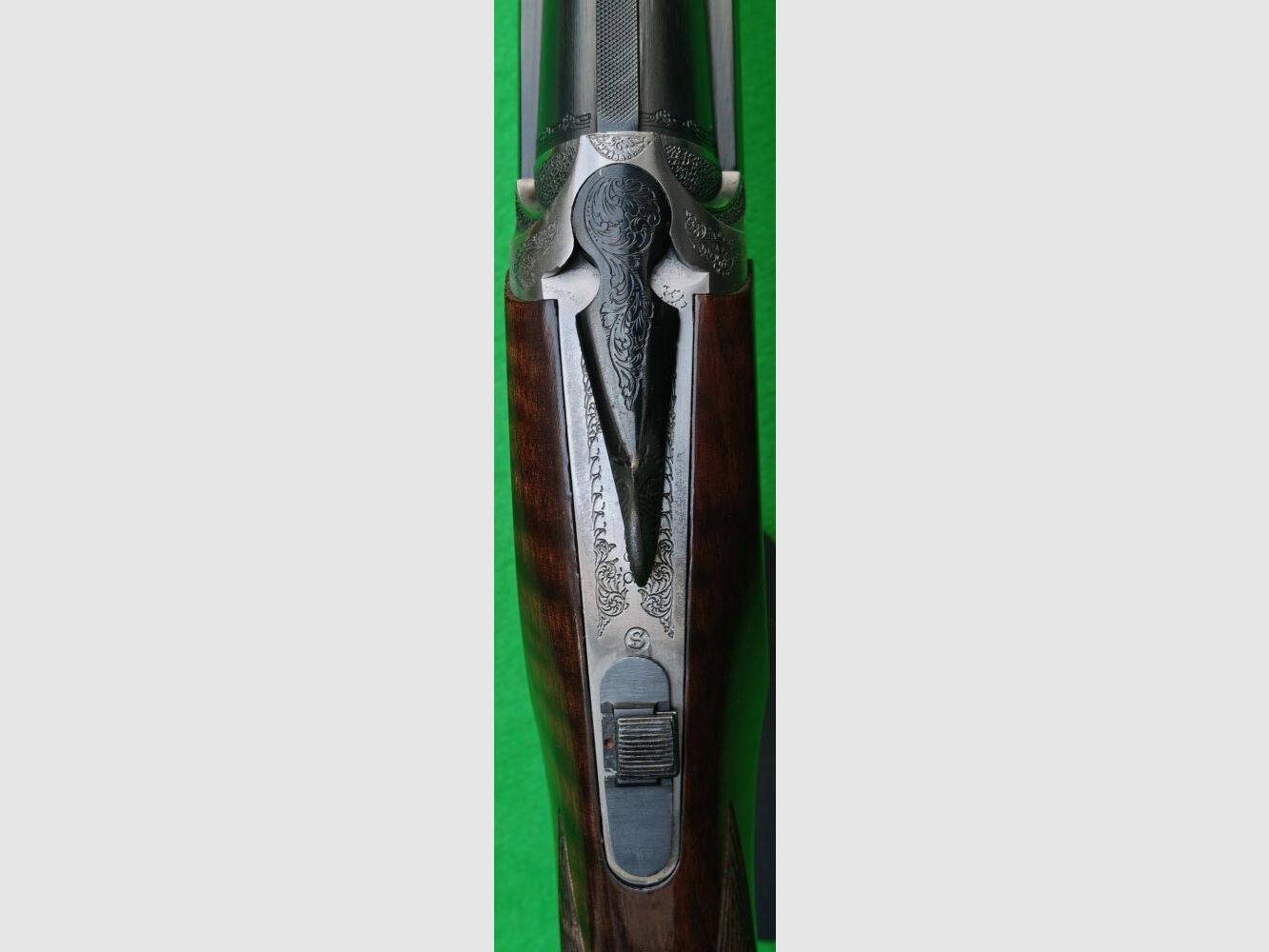 Rizzini
