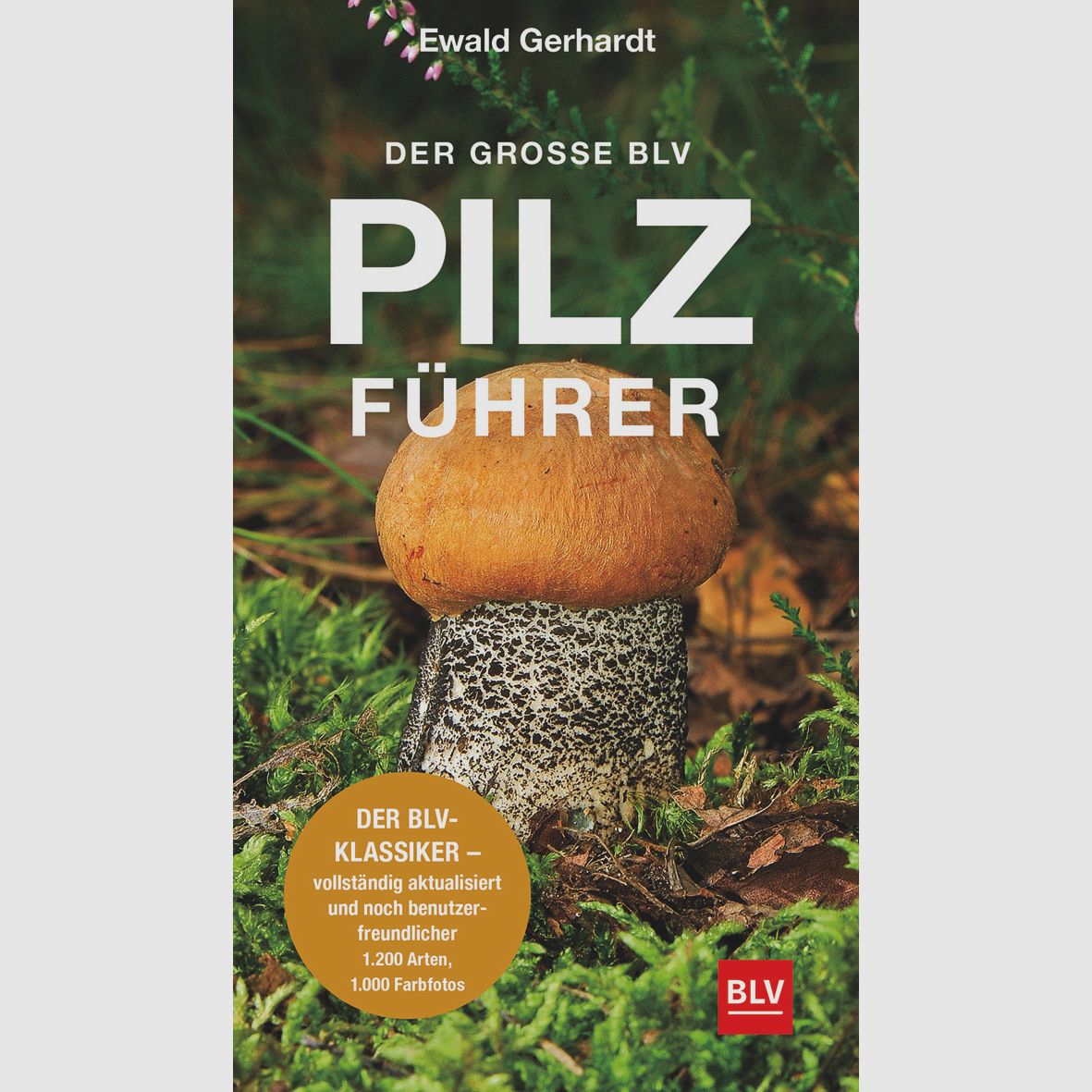 Der große BLV Pilzführer
