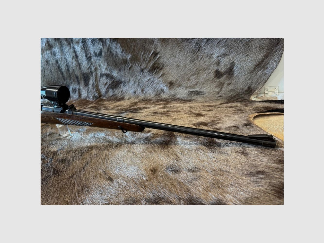 CARABINE STEYR DAIMLER SCHOENAUER MOD GK CAL 7X64 +LUNETTE OCCASION, image 6 sur 13
