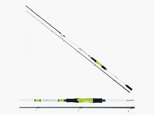 CANNE DAIWA R'NESSA SEABASS