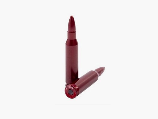 2 Blank Cartridges 338WinMag