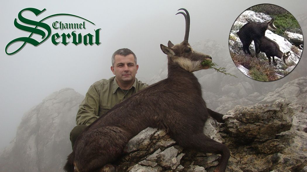 Balkan Chamois Hunting in the Croatian mountains -Velebit - Gamsjagd in Kroatien -Velebit