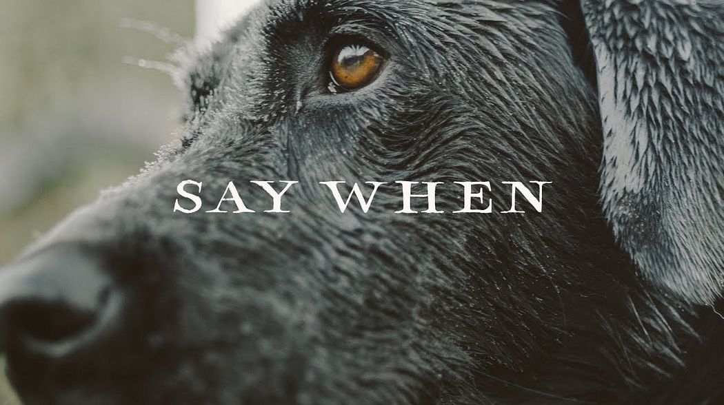 Sitka Films: Say When