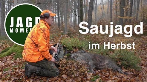 JagdMomente | Folge 5 | Drückjagd & Ansitz auf Sau & Reh im Herbst