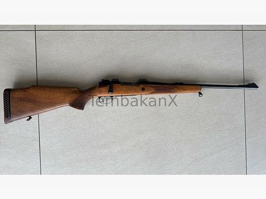 Mauser 1909 9,3x62