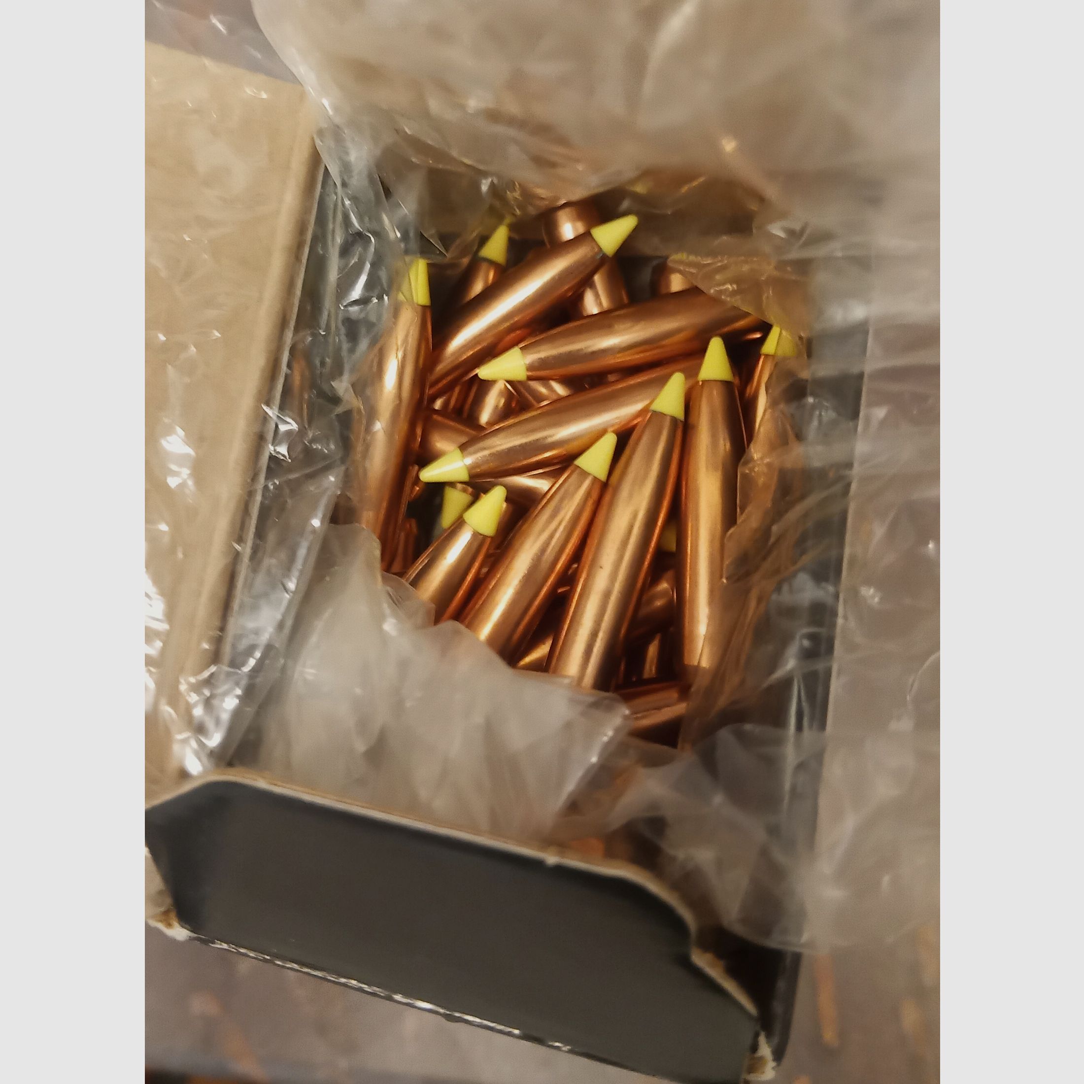 Nosler Geschoss Ballistic Tip