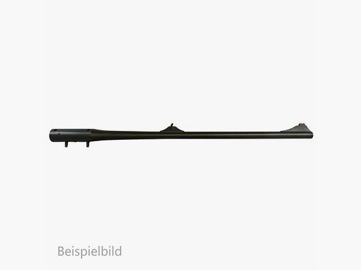 Blaser WL R8