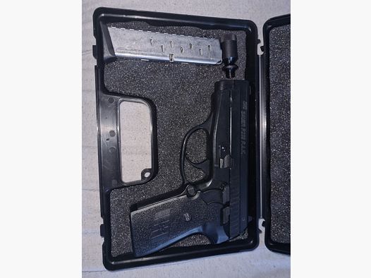 Sig Sauer p239