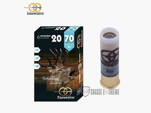 6 Cartouches SAUVESTRE BFS Cal 20/70