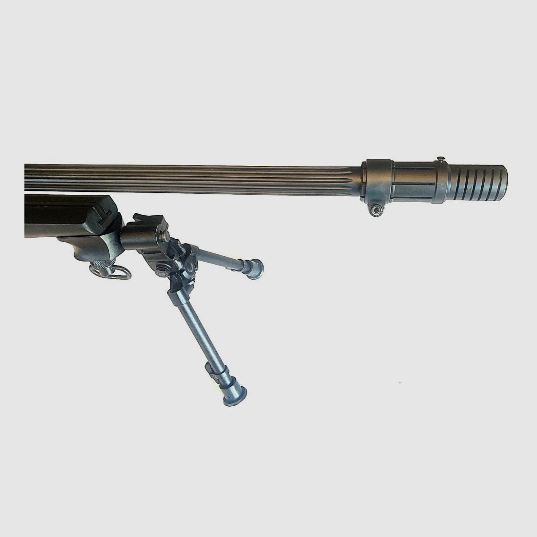 Blaser R93 Tactical (CISM)