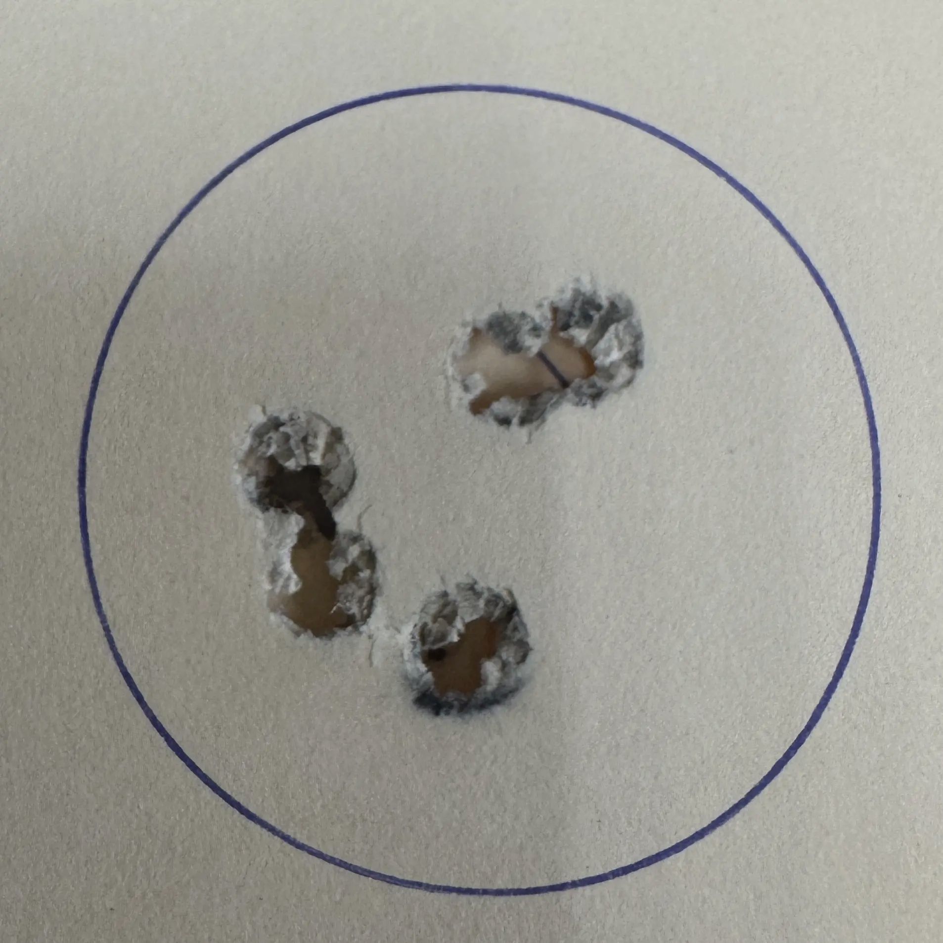 K98 Santa Barbara – Kaliber 8×57 JS – Arsenal onderhouden Mauser-karabijn