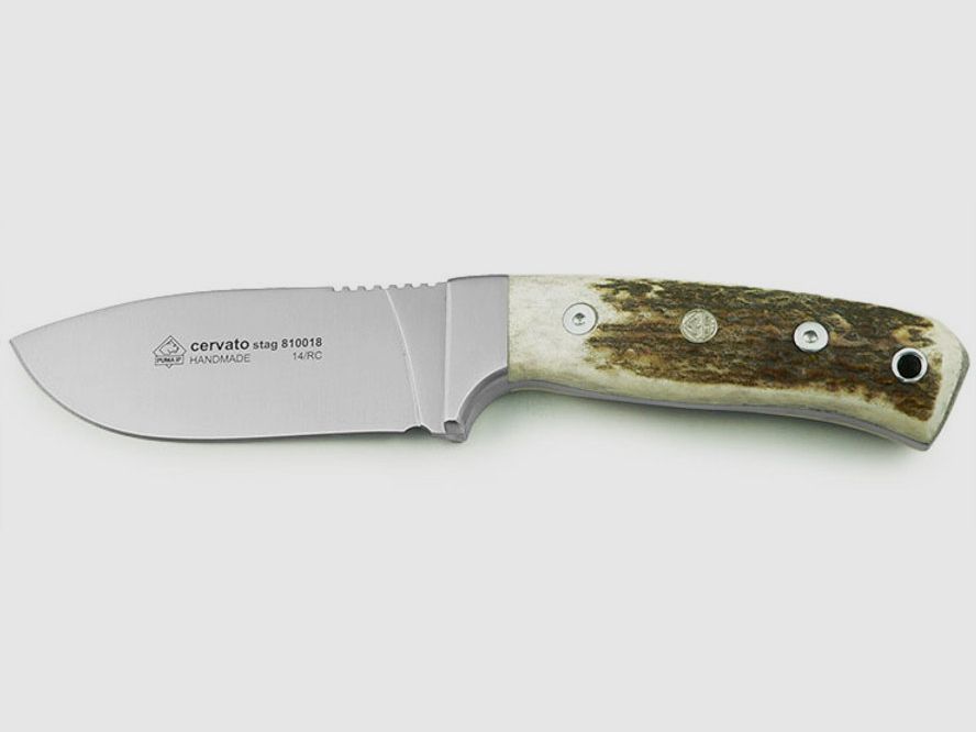 PUMA IP cervato, stag