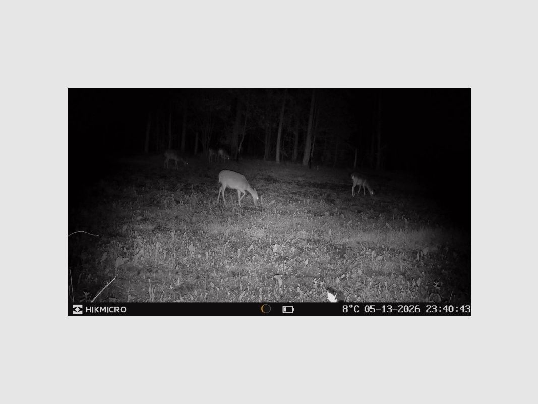 HIKMICRO T16 4G Wildkamera Dual-FOV, bis 24 MP, 64 GB