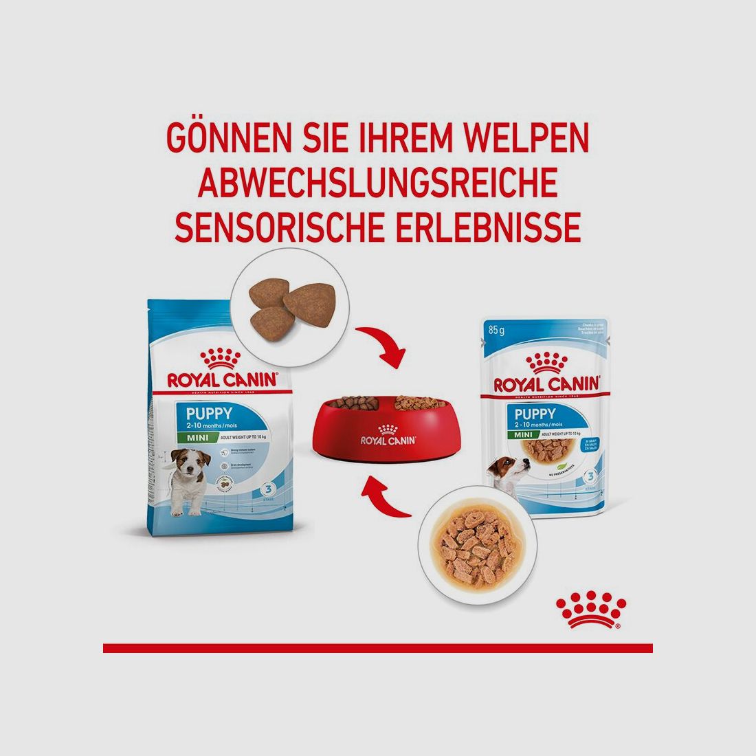 ROYAL CANIN Kleine Hunde Nassfutter Welpen bis zum 10. Monat 12x85 g