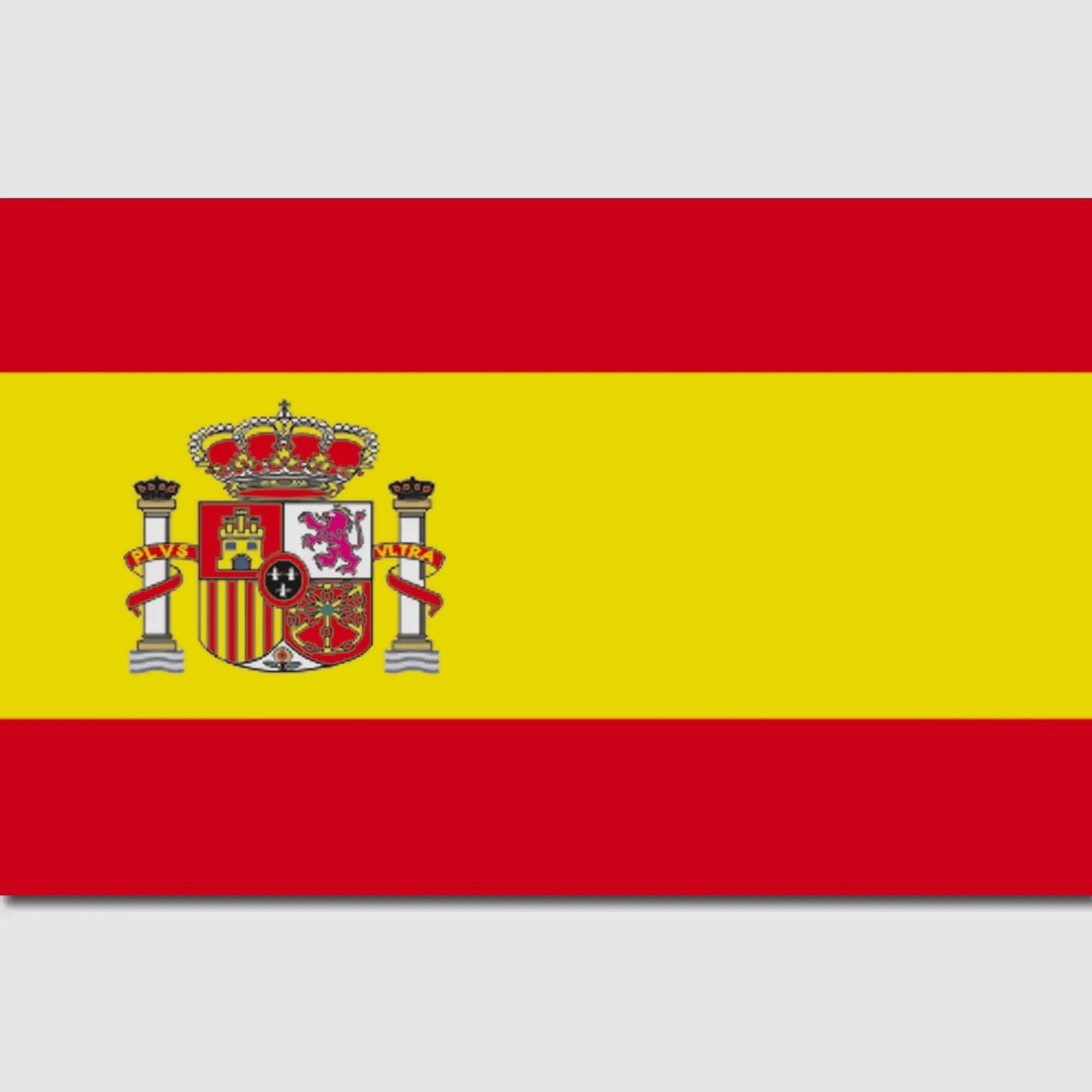 Bandera Mil-Tec España desconocida