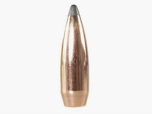 Balle Speer .375/.375 270GR BT SP 50 pièces