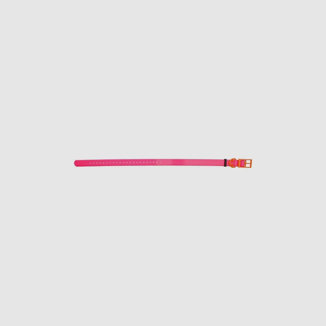 HP&G Hundehalsband 25mm Pink