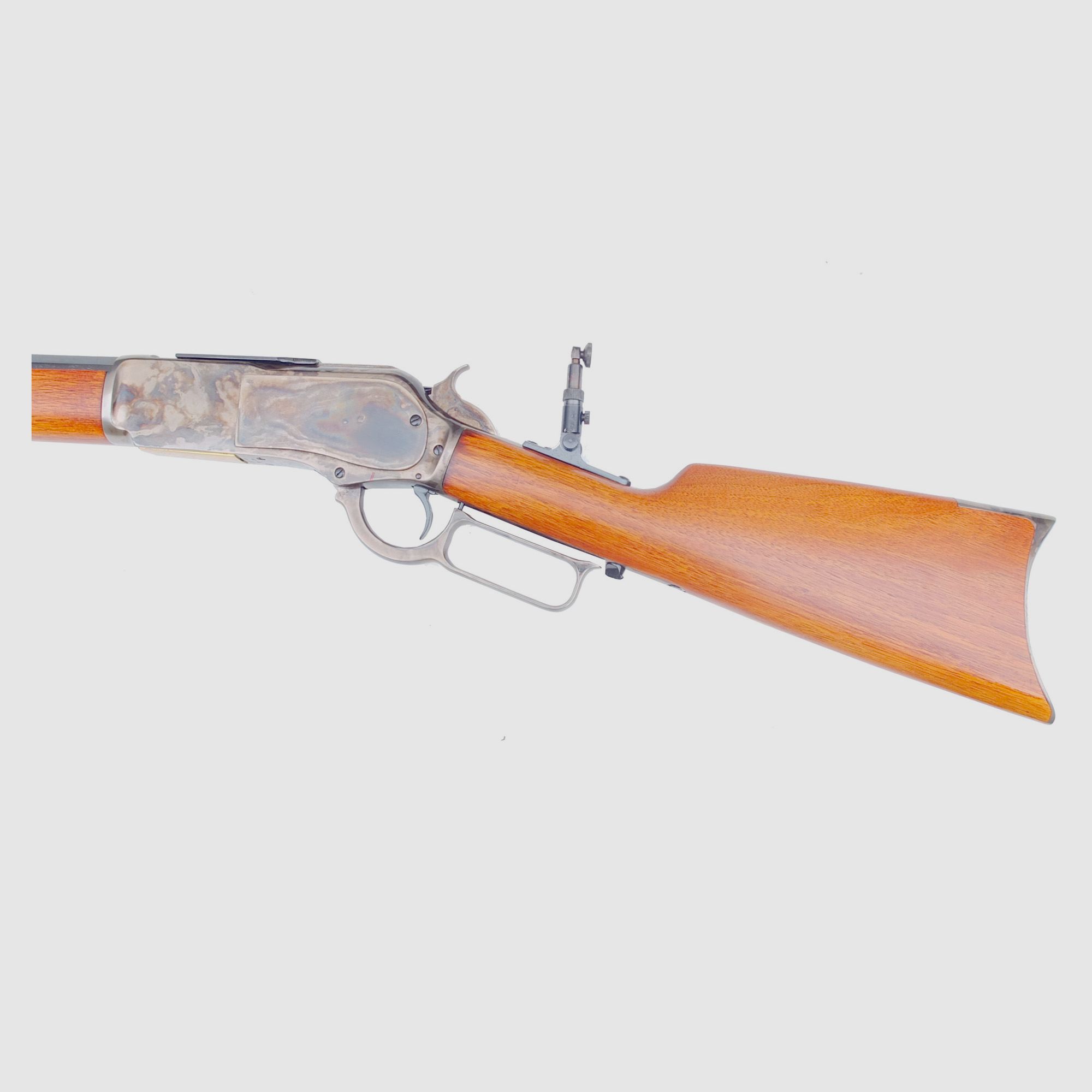Chiapparal 1876, afbeelding 3 van 3