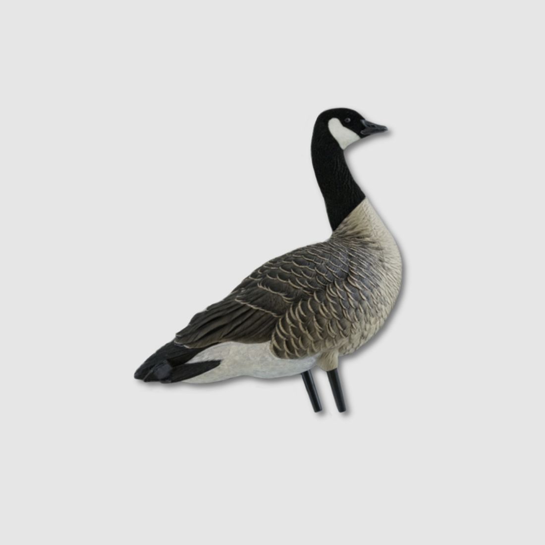 Avian-X Canada goose decoys (6 pcs.) with flocking, image 1 of 5