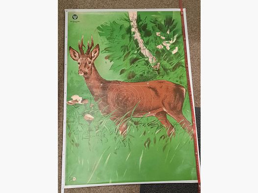 Schietschijf Jacht schijf Wildschijf