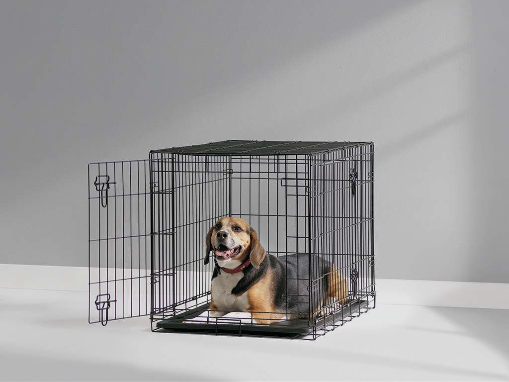 Hundegitter Medium 76 x 49 x 55 cm, Bild 1 von 5