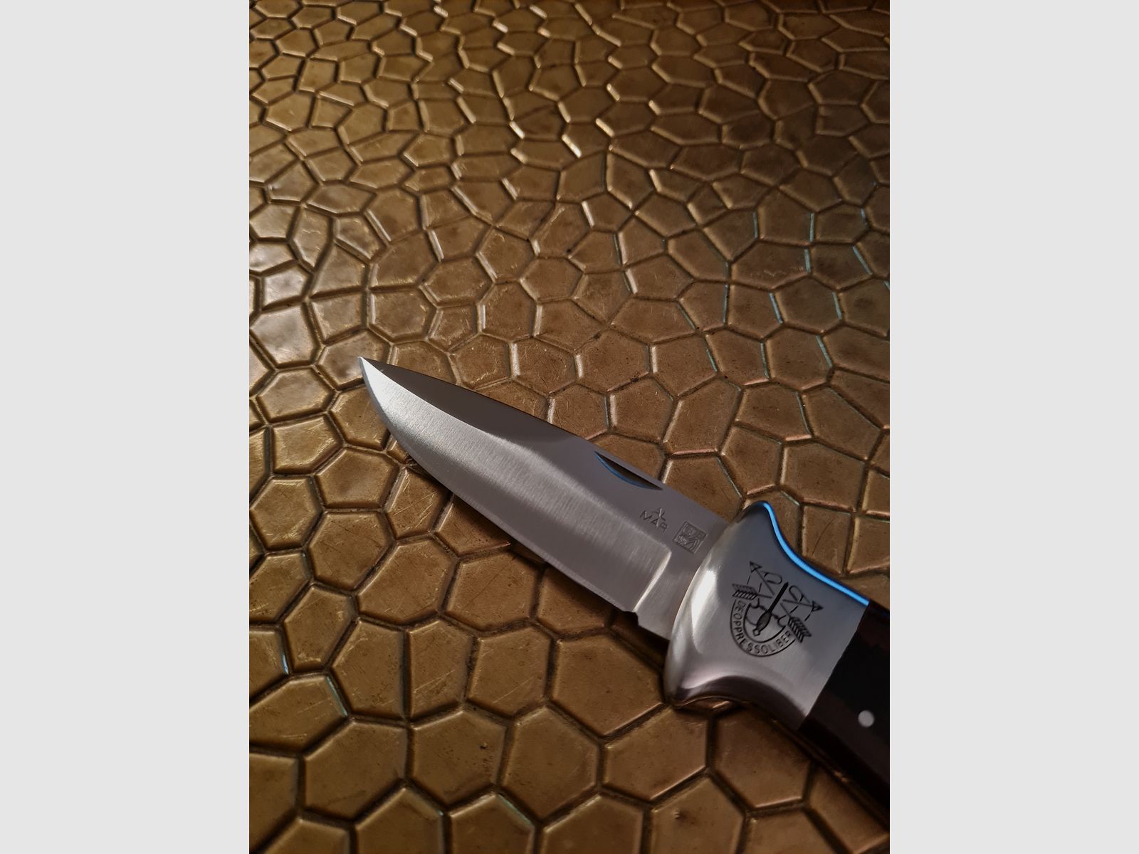 TO THE SEA S.E.R.E. "To Free the Oppressed