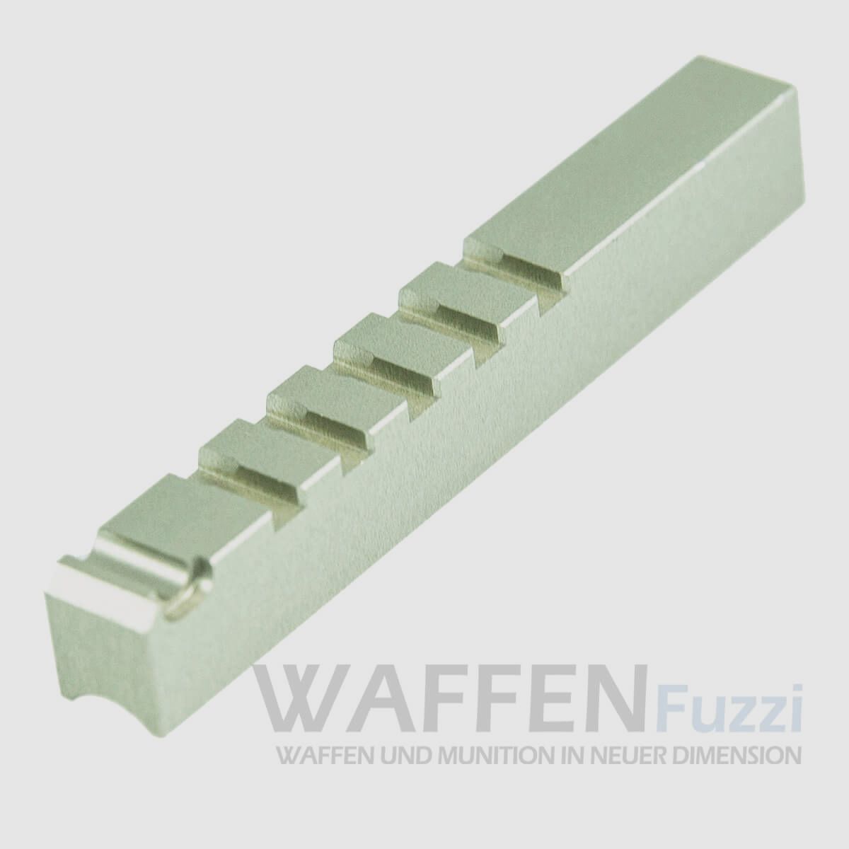 Steyr Magazin für LP Trockentraining