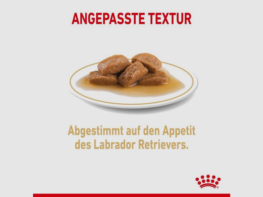 ROYAL CANIN Labrador Retriever Nassfutter Adult Stückchen in Soße 10x140 g