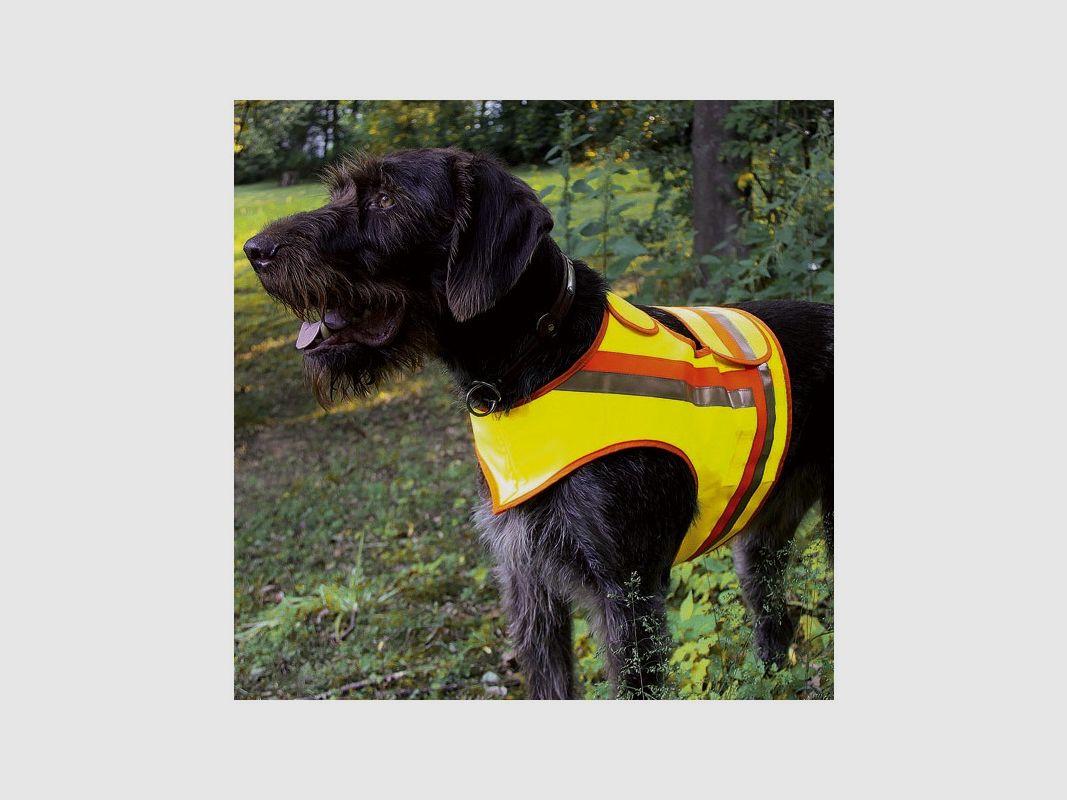 WARNWESTE FÜR HUNDE GR 1 Z.B TECKEL