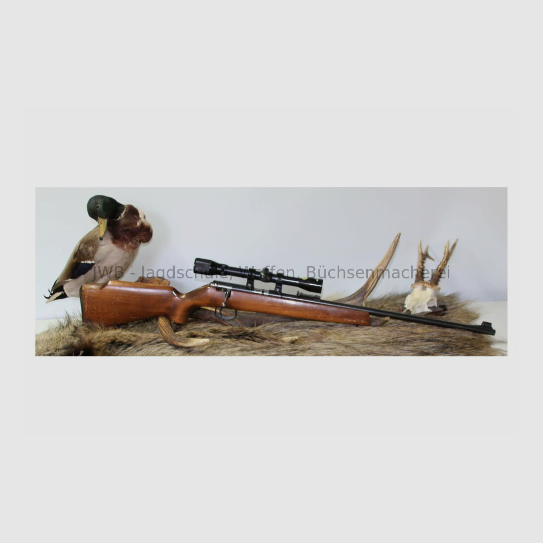 Anschütz 1415 .22lr