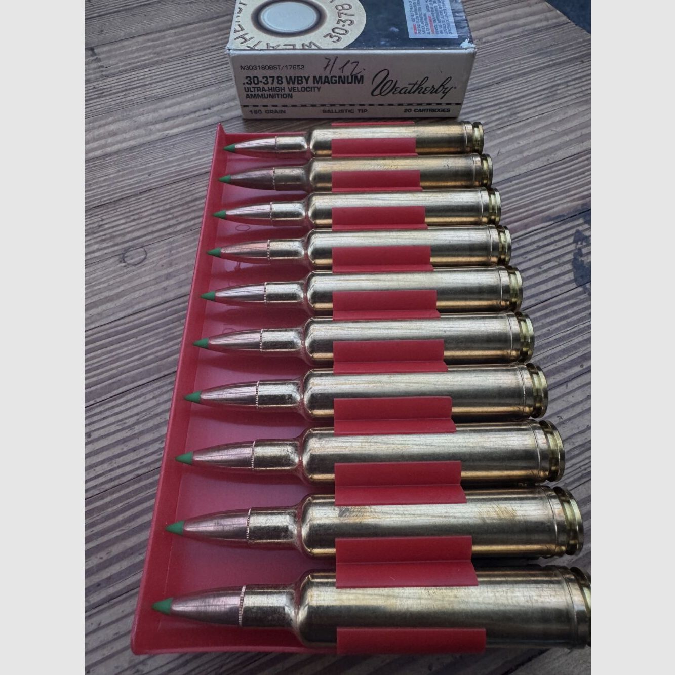 Weatherby Ballistic Tip