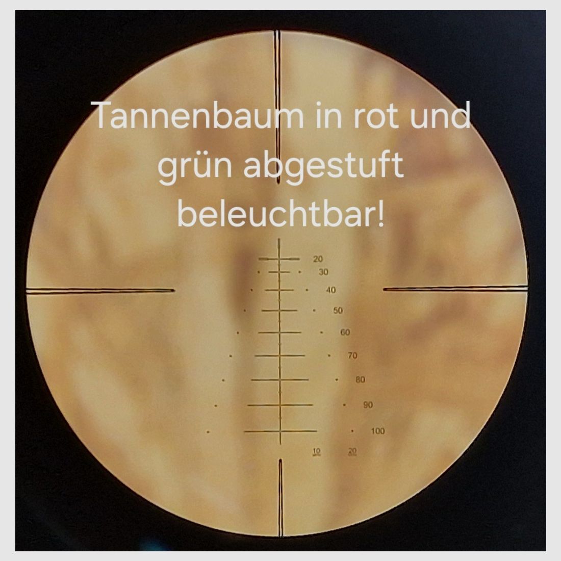 Ek Archery Siege 300 Set